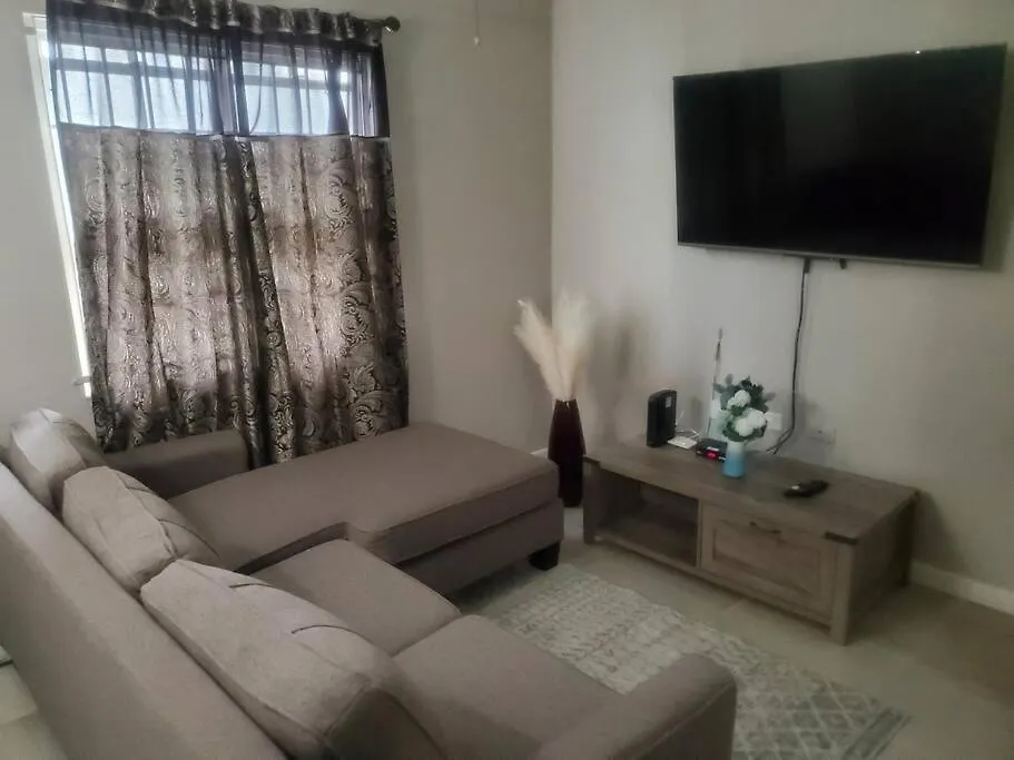 Modern Apartment At The Worthington Kingston