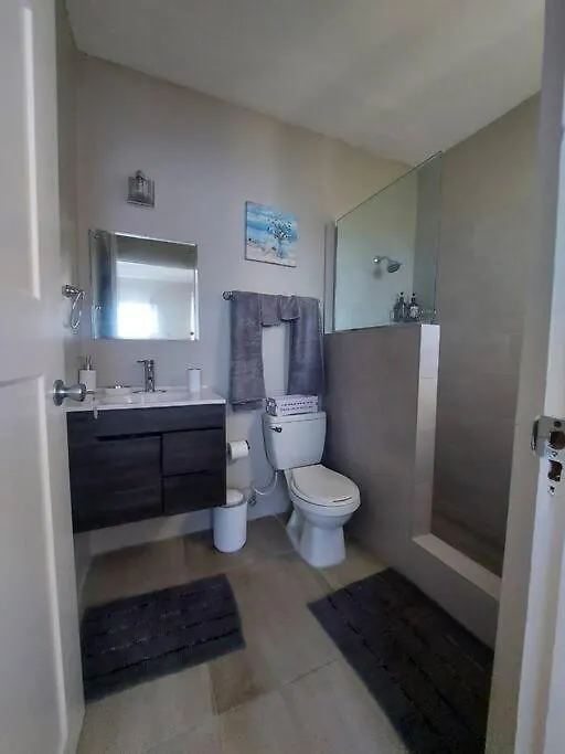 Modern Apartment At The Worthington Kingston