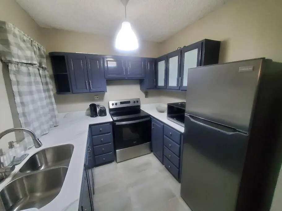 Modern Apartment At The Worthington Kingston